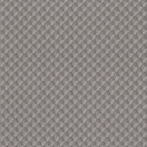 INSPIRED DESIGN by Shaw Floors - Grounded Gray