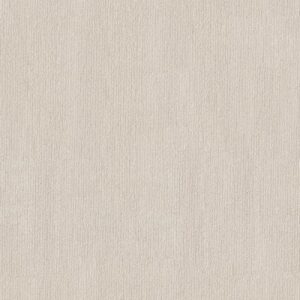 TRANQUIL WATERS by Shaw Floors - Awaken