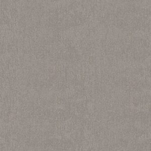 TRANQUIL WATERS by Shaw Floors - Shadow