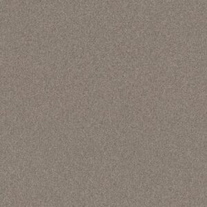 COZY HARBOR I by Shaw Floors - Stucco