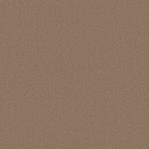 CASHMERE CLASSIC I by Shaw Floors - Brass Lantern