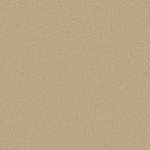 QUIET COMFORT III by Shaw Floors - Yearling