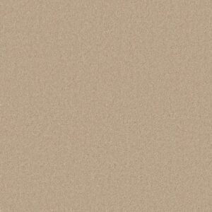 CASHMERE CLASSIC I by Shaw Floors - Yearling