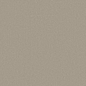 WHY NOT ME by Shaw Floors - Reflection
