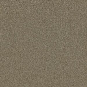 PREMIER ROLE by Shaw Floors - Driftwood