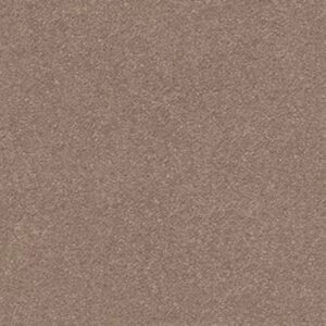 MONTAGE I by Shaw Floors - Hidden Treasure