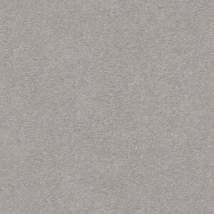 MONTAGE II by Shaw Floors - Classic Silver