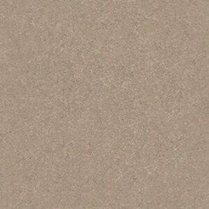 WELL GROUNDED I 15 by Shaw Floors - Raw Lumber