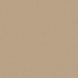 EVERYDAY COMFORT (S) by Shaw Floors - Popcorn