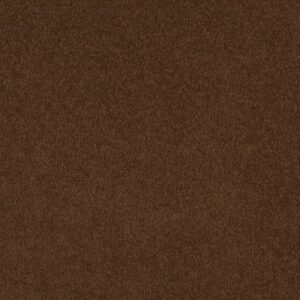 EVERYDAY COMFORT (S) by Shaw Floors - Fudge