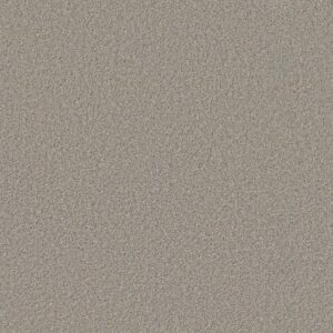 SWEET INSPIRATION II by Shaw Floors - Tempting Taupe