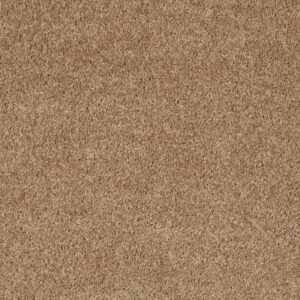 UNION CITY III 12' by Shaw Floors - Golden Echoes