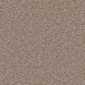 RESOLUTION by Shaw Floors - Papoose