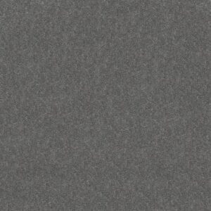 ATTAINABLE by Shaw Floors - Slate