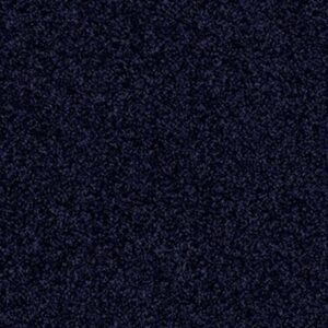 SOURCE II by Shaw Floors - Nautica