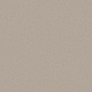 FIND YOUR COMFORT NS II by Shaw Floors - Sand Castle (S)