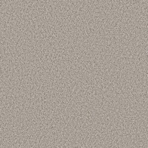 STRANDS OF NATURE II by Shaw Floors - Pixels