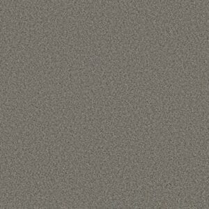 STRANDS OF NATURE II by Shaw Floors - Antique Pin