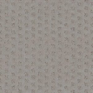 THE ARTS by Shaw Floors - Lady In Grey