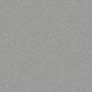 FIND YOUR COMFORT NS II by Shaw Floors - Polished Silver (S)