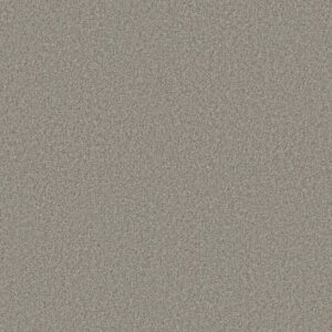 FIND YOUR COMFORT TT II by Shaw Floors - Back Patio (T)