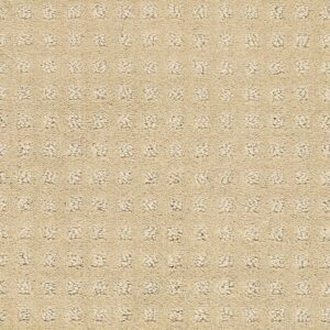 THE FAIR by Shaw Floors - Honeycomb