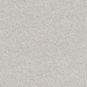 ALWAYS READY I by Shaw Floors - Realist