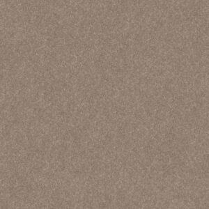 SMOOTH TALK II by Shaw Floors - Buffington