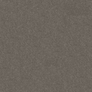 HARD AT PLAY III 15' by Shaw Floors - Ashes
