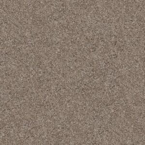 ARTISTIC FUSION I by Shaw Floors - Cameo