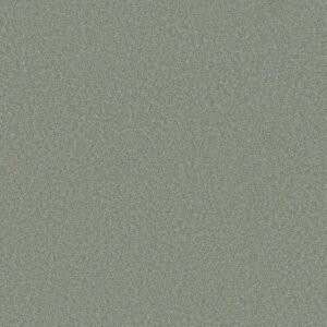 HARMONIOUS I by Shaw Floors - Water'S Edge