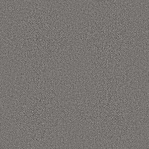 WITHOUT LIMITS II by Shaw Floors - Silver Spoon