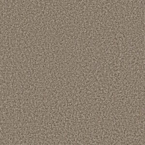 BREAK AWAY (B) by Shaw Floors - Toast