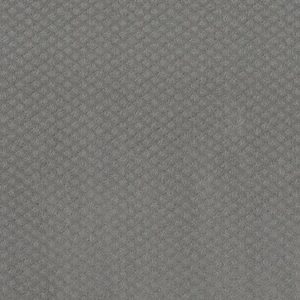 FORMALIZE by Shaw Floors - Grey Fox