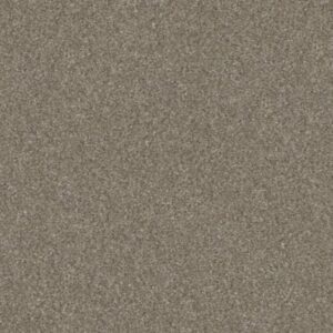 WITHOUT LIMITS III by Shaw Floors - Macadamia