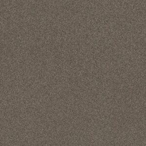 WITHOUT LIMITS III by Shaw Floors - Boardwalk