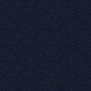 FULL COURT 12' by Shaw Floors - Evening Sky