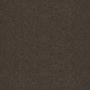 FULL COURT 12' by Shaw Floors - Barn Beam