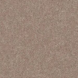 SPRINTER by Shaw Floors - Willow