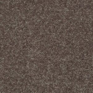 ALL STAR WEEKEND III 15' by Shaw Floors - Driftwood