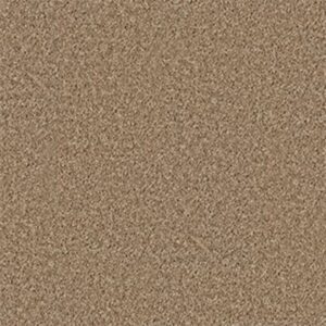 ALL STAR WEEKEND III 15' by Shaw Floors - Golden Echoes