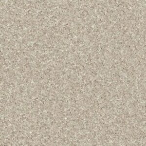 TACTICAL by Shaw Floors - Hearth