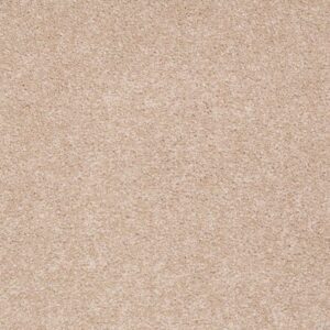 SHINGLE CREEK II 12' by Shaw Floors - Stucco