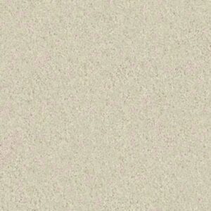 TURN THE PAGE II 15' by Shaw Floors - Fresco