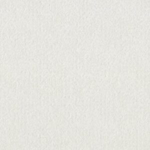 ARTISTIC PRESENCE by Shaw Floors - Snowfall