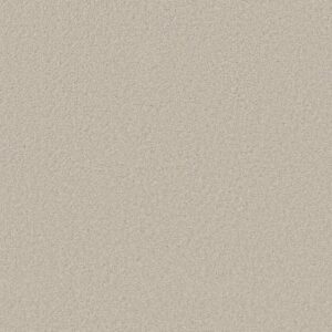 LOYAL BEAUTY III by Shaw Floors - Polar