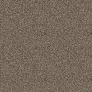 SEE ME by Shaw Floors - Pale Desert