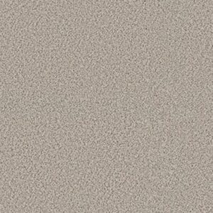 ELEMENTAL MIX II by Shaw Floors - Swiss Coffee