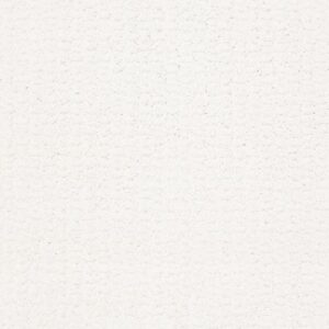COMPLETE CONTROL by Shaw Floors - White Hot