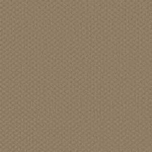 ENTWINED WITH YOU by Shaw Floors - Biscotti